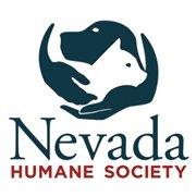 What You Need To Know About the Best USA Animal Shelters and Why 8 Nevada’s Nevada Humane Society
