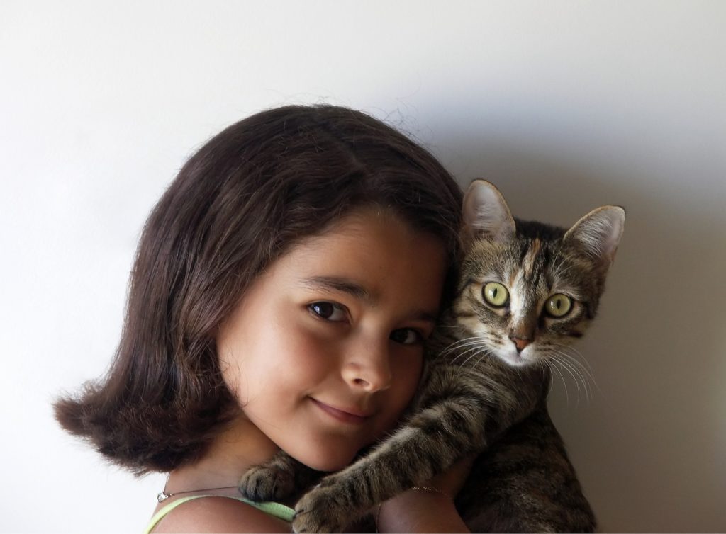 If You Read Nothing Else Today, Read This Report on Allergy to Cat 2 cat allergy 02