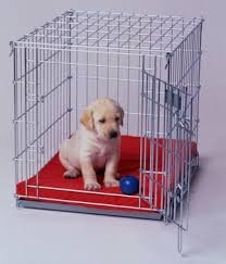 puppy crates