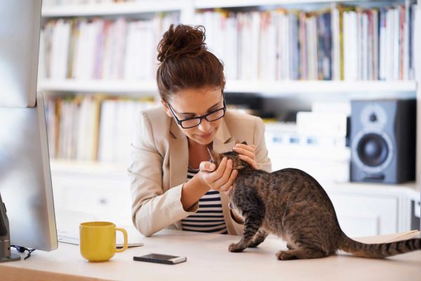 13 Clear Signs Prove That Your Cat Loves You! 6 13 Clear Signs Prove That Your Cat Loves You! 07 cat wants to tell you meow | Behaviour & Training