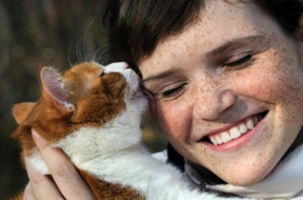 13 Clear Signs Prove That Your Cat Loves You! 21 13 Clear Signs Prove That Your Cat Loves You! 1381009 824 | Behaviour & Training