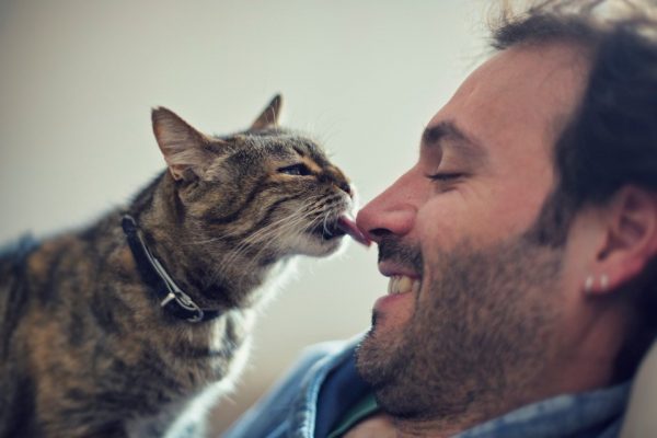 13 Clear Signs Prove That Your Cat Loves You! 22 13 Clear Signs Prove That Your Cat Loves You! CvT5ET0XYAAGxxN | Behaviour & Training