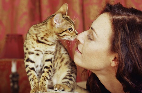 13 Clear Signs Prove That Your Cat Loves You! 10 13 Clear Signs Prove That Your Cat Loves You! cat eye contact | Behaviour & Training