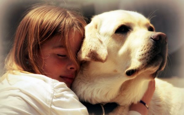 How to Know That Your Dog Is Suffering from Depression?! depressed dog3 | Behaviour & Training