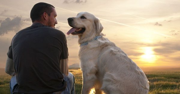Watch out! You Could Be Shortening Your Dog's Life frindship between dog and human5 | Dogs