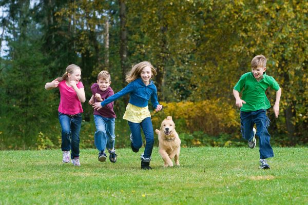 How to Know That Your Dog Is Suffering from Depression?! shutterstock 88255975 | Behaviour & Training