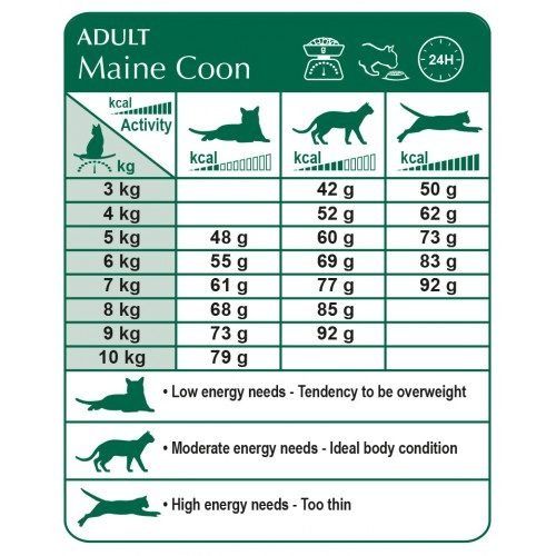 Maine Coon Weight Chart