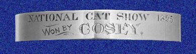 Take Care Of Maine Coon Doesn't Have To Be Hard. Read These 10 Tips National cat show cosey | Cats