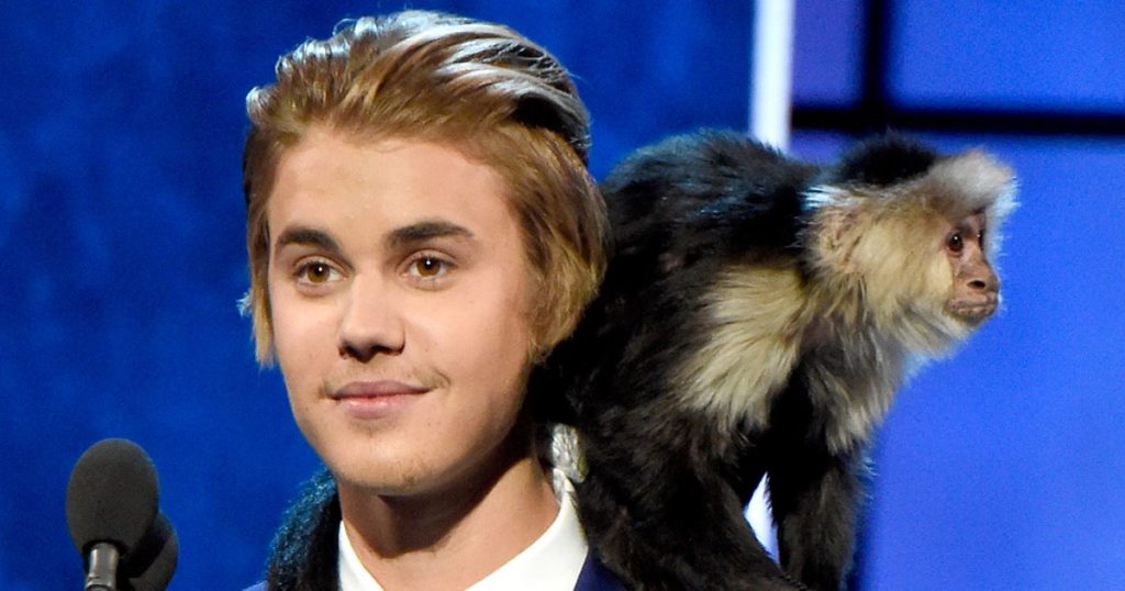 Various And Exotic Pets Of Celebrities And Famous People 9 Various And Exotic Pets Of Celebrities And Famous People bieber monkey drupal 1 1 | Small Animals
