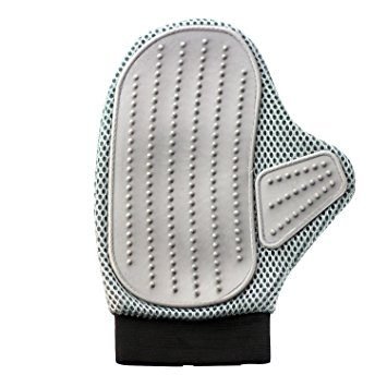 Bengal Cat Caring- 10 Things You Should Do 5 Bengal Cat Caring- 10 Things You Should Do pet grooming gloves | Cats