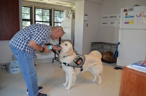Tasks Of "Service Dogs" Towards All Disabilities service dog 02020 | Behaviour & Training