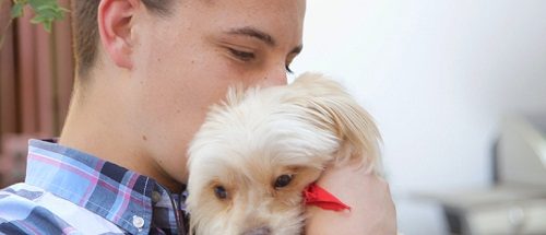 Top 5 USA Animal Control Services 1 Top 5 USA Animal Control Services San Angelo Animal Services | Wellness