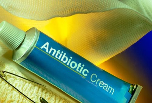 How Things Will Change - 12 Steps To Avoid Dog Bites 16 How Things Will Change - 12 Steps To Avoid Dog Bites antibiotic cream 01 | Behaviour & Training