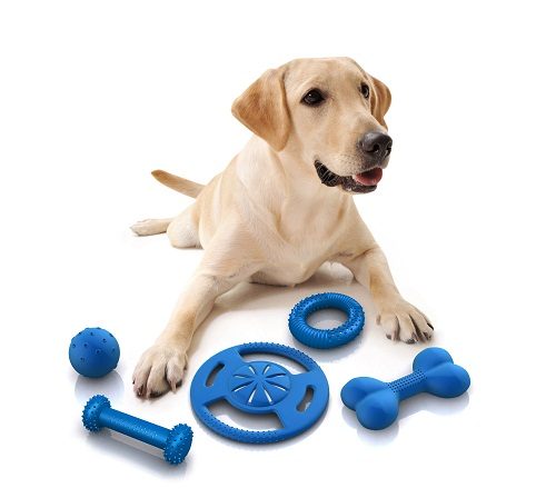 How To Handle Dog Barking Challenge With Using These Tips 14 How To Handle Dog Barking Challenge With Using These Tips dog playing with toys | Behaviour & Training