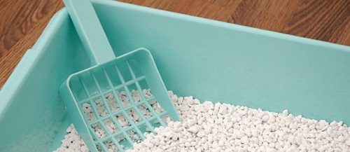 Solving The Problem Of Cat Peeing Outside The Litter Box check litter box 02 | Behaviour & Training