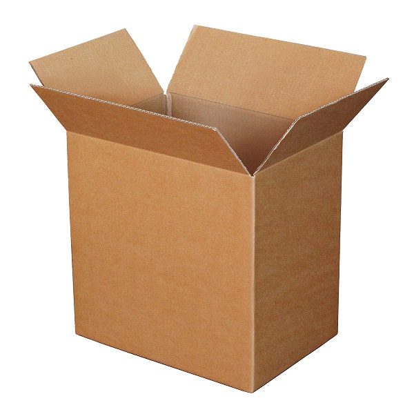 How to get rid of lizards in our homes? 12 How to get rid of lizards in our homes? Cardboard Box to get rid of lizards | Behaviour & Training