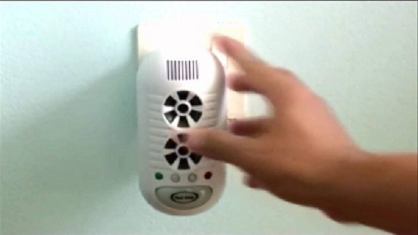 How to get rid of lizards in our homes? 1 How to get rid of lizards in our homes? Electric Repellent 01 | Behaviour & Training