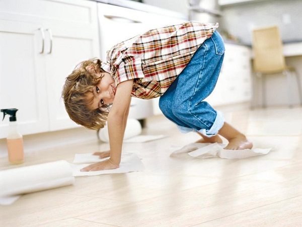 How To Get Rid Of Cat Urine Smell In The House using paper towel to dry the floor 02 | Behaviour & Training