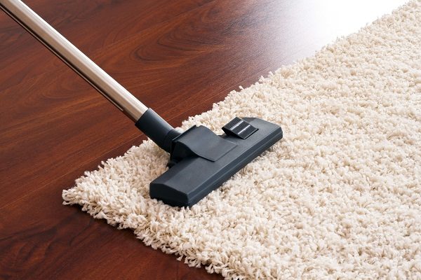How To Get Rid Of Cat Urine Smell In The House vacuum the carpet to get rid of cat urine smell | Behaviour & Training