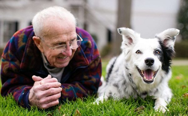 12 Facts About Border Collies chaser the amazing border collie who understands 1000 words 0212 | Dogs