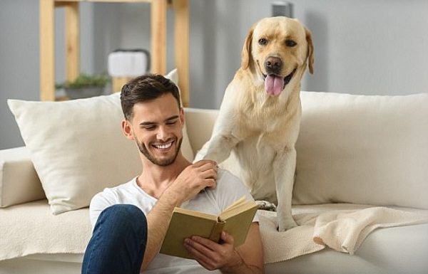 Making Money By Dog Breeding 5 Making Money By Dog Breeding collect information about dog breeds | Behaviour & Training