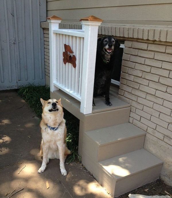 Can You Make A Lot Of Money Breeding Dogs Can You Make A Lot Of Money Breeding Dogs