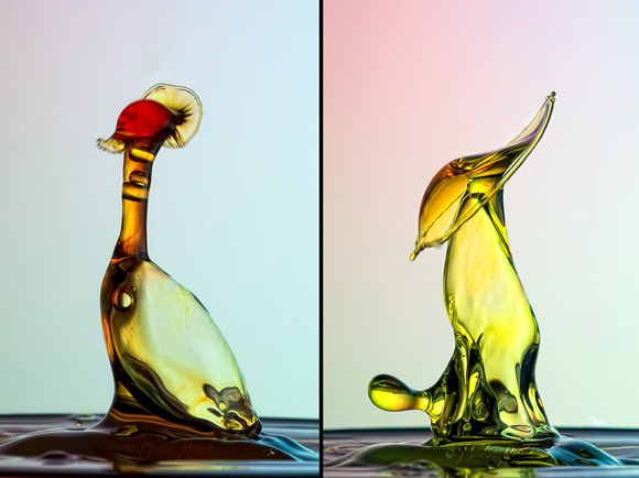 When Time Stops : Amazing Photos of Water Droplets Using High-speed Photography!! Amazing Photos of Water Droplets Using High speed Photography 08 | General