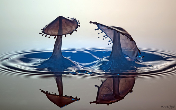 When Time Stops : Amazing Photos of Water Droplets Using High-speed Photography!! Amazing Photos of Water Droplets Using High speed Photography 19 | General