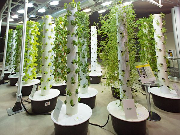 Top 15 Futuristic Business Trends Expected vertical farming | Business & Finance