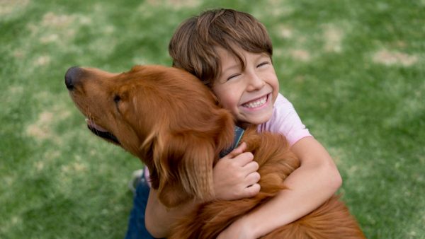 How to Take Care of Your Dog: Guidelines and Tips dog lover | Dogs