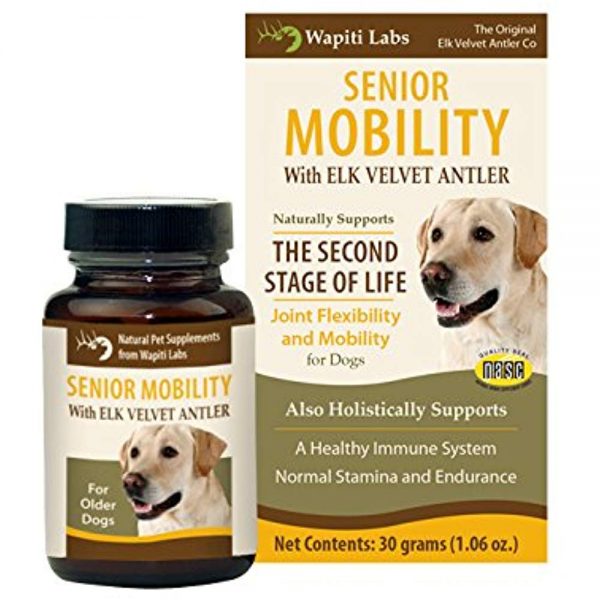 4 Most Important Supplements That Your Pet Needs Elk antler velvet | Pets