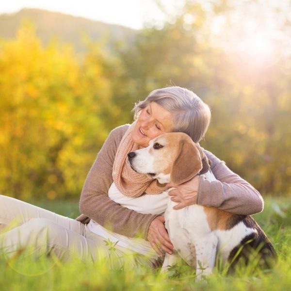 4 Most Important Supplements That Your Pet Needs dog | Pets