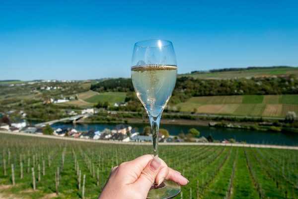 Top 10 Things to Plan Before Visiting Luxembourg 14 Top 10 Things to Plan Before Visiting Luxembourg luxembourg wine | Travel