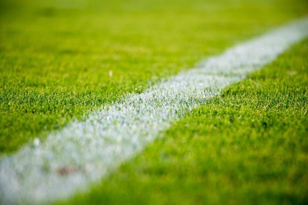 turf turf |