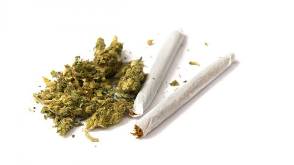 Things You Need to Know about THC and CBD marijuana | General THC and CBD