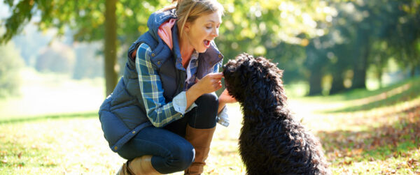 How to keep your pets happy while you’re away on vacation 3 How to keep your pets happy while you’re away on vacation PetSitter | Pets