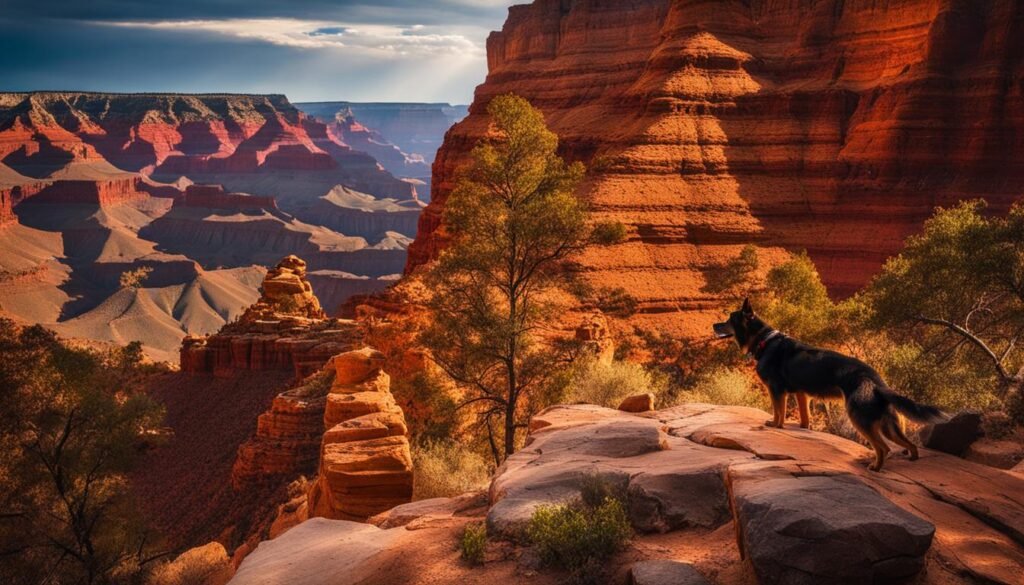 Top Dog-Friendly Travel Destinations For Puppy Owners and Their Furry Friends 4 Dog-Friendly Destinations in the Midwest